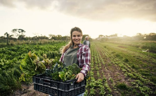 don’t forget to support your local organic farmer - food stock pictures, royalty-free photos & images