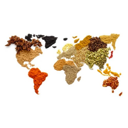 dried spices in world map shape - food stock pictures, royalty-free photos & images
