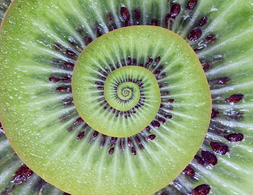 droste kiwi - food stock pictures, royalty-free photos & images