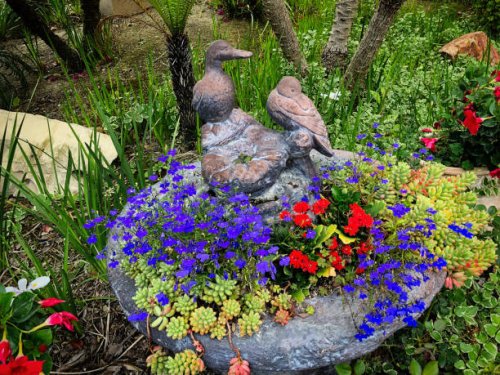duck statue in garden - garden decoration stock pictures, royalty-free photos & images