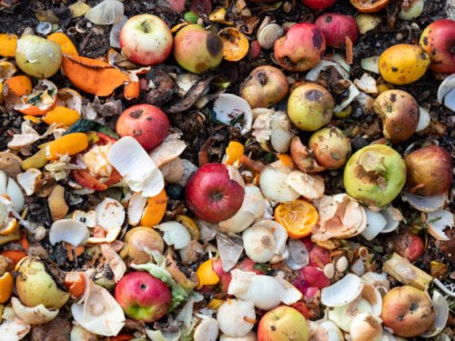 dump of organic garbages with remains of fruits and bread in decomposition. - food stock pictures, royalty-free photos & images