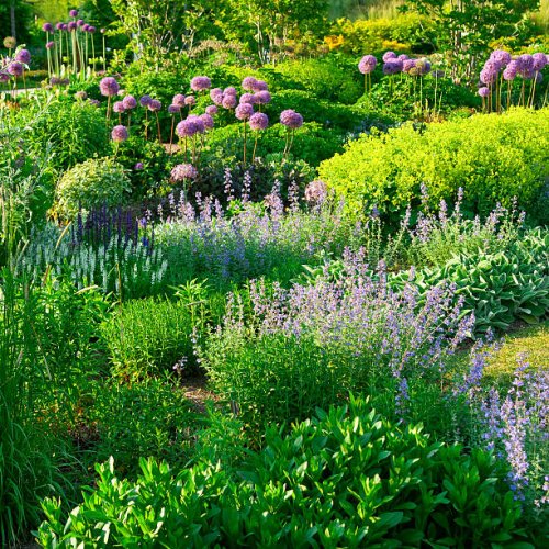 early summer flower garden - iii - garden decoration stock pictures, royalty-free photos & images