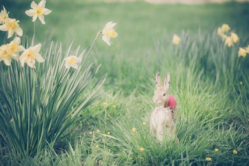 easter bunny in garden - garden decoration stockfoto's en -beelden