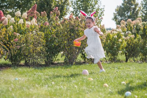 easter egg hunter. child is hunting for easter eggs in garden. child is looking for eggs with excitement. - garden decoration stockfoto's en -beelden