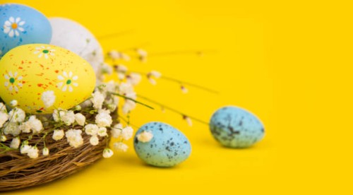 easter eggs in a nest on yellow background - home decoration stock pictures, royalty-free photos & images