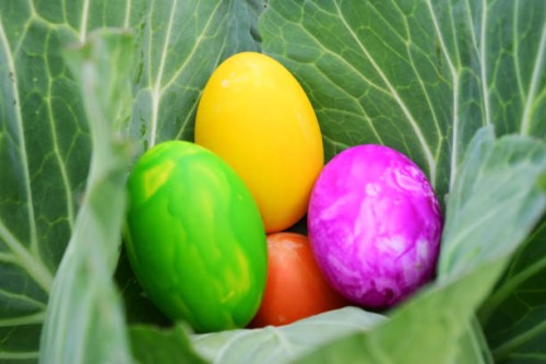 easter eggs with fresh green grass over white background - garden decoration stock pictures, royalty-free photos & images