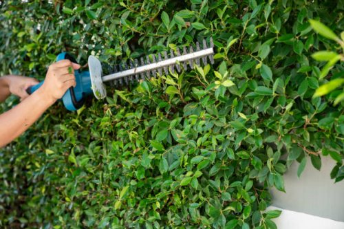 electricity garden scissors trimming green hedges work in the garden - garden decoration stock pictures, royalty-free photos & images