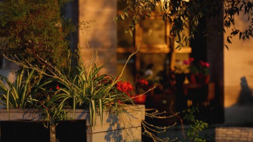 empty sidewalk cafe with flowers and garden on golden hours - garden decoration stock pictures, royalty-free photos & images