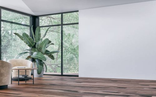 empty unfurnished modern interior with a large potted plant (strelitzia nicolai), a set of lounge yellow chairs and a coffee table in front of large corner windows with garden view and balcony, a blank white wall on the other