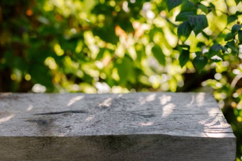 empty wood board and defocused bokeh and blur green background of garden trees with sunlight. concept of product display template. - garden decoration stock pictures, royalty-free photos & images