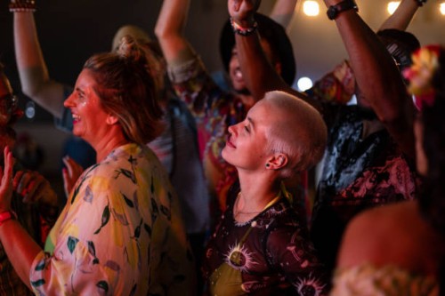 enjoying the live show - concert stock pictures, royalty-free photos & images