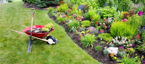 Essential Garden Care Tips for a Healthy and Beautiful Garden