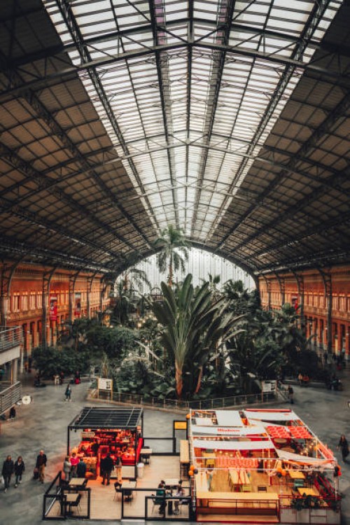 estación madrid puerta de atocha - atocha train station and botanical garden in madrid, spain - garden decoration stock pictures, royalty-free photos & images