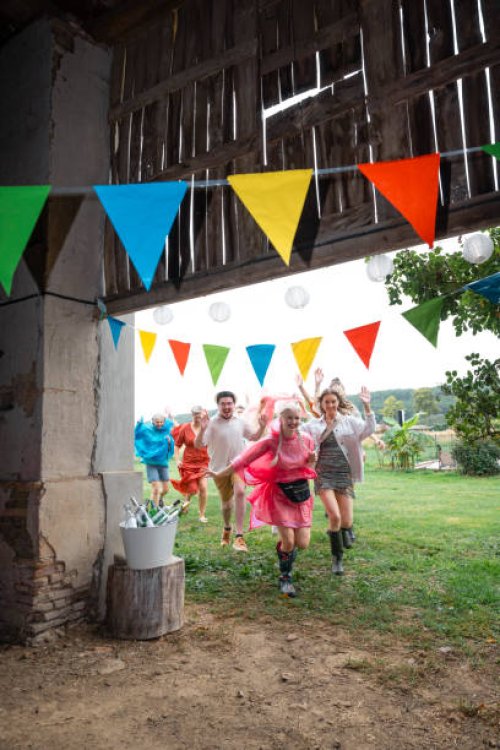 excited to be at a festival - concert stock pictures, royalty-free photos & images
