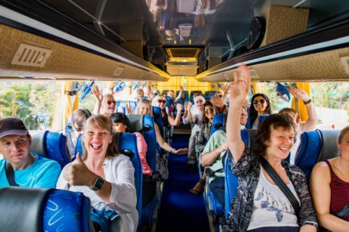 excited to travel - travel stock pictures, royalty-free photos & images