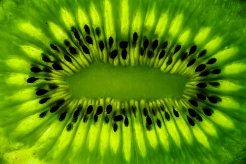 extreme close-up of a kiwi fruit - food stock pictures, royalty-free photos & images