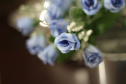 extremely beautiful roses - garden decoration stock pictures, royalty-free photos & images