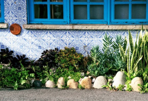 facade with blue patterned tiles and windows and a charming garden of succulents and other plants in front of it - garden decoration stock pictures, royalty-free photos & images