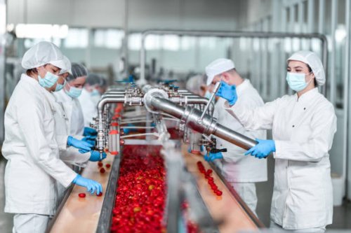 factory workers using machine to process peppers and fill them before jarring - food stock pictures, royalty-free photos & images