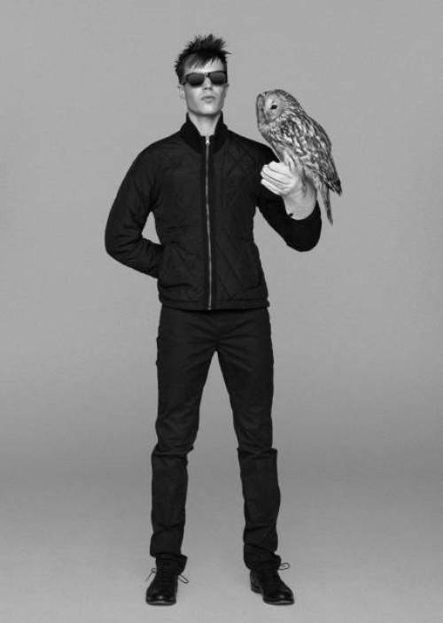 falconer with owl perched on his glove - fashion stock pictures, royalty-free photos & images