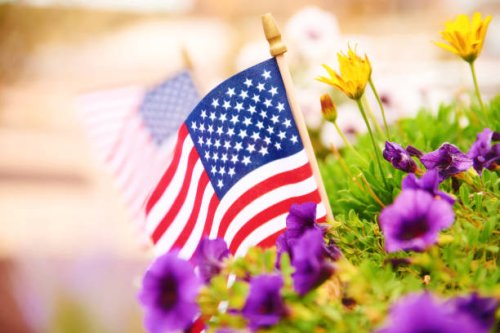 fall background with american flags amongst vibrant petunias. space for text - garden decoration stock pictures, royalty-free photos & images