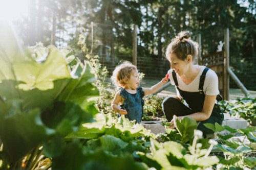 famille récoltant des légumes du jardin à la petite ferme à la maison - food photos et images de collection