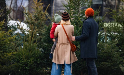 family choosing christmas tree for holiday celebration outdoors - garden decoration stock pictures, royalty-free photos & images