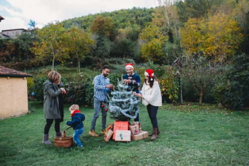 family decorating christmas tree together in garden - garden decoration stockfoto's en -beelden