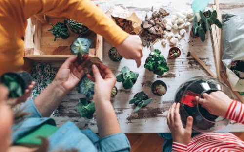 family making terrarium at home - garden decoration stock pictures, royalty-free photos & images