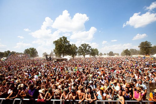 fans waiting for the next performance at bonnaroo music festival - concert stock pictures, royalty-free photos & images