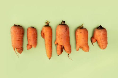 farm fresh ugly carrots bent and twisted - food stock pictures, royalty-free photos & images