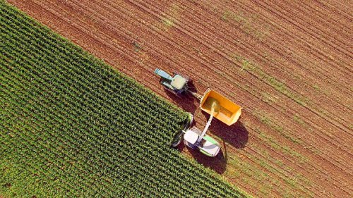 farm machines harvesting corn for feed or ethanol - food stock pictures, royalty-free photos & images