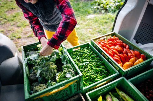 farmer organising van with organic vegetables - food stock pictures, royalty-free photos & images