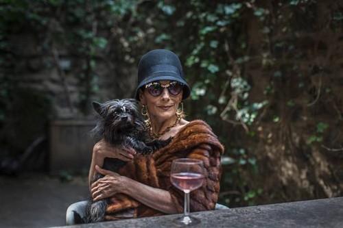 fashionable senior woman with dog in garden - fashion stock pictures, royalty-free photos & images