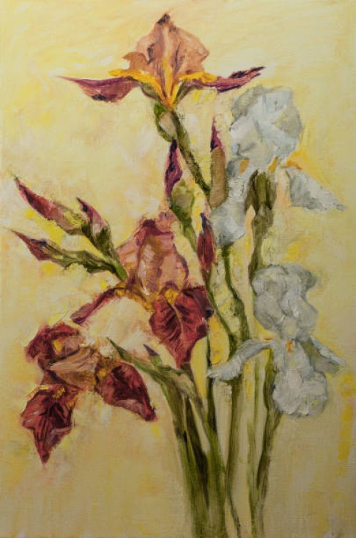 fashionable spring illustration allegory modern artwork impressionism my original oil painting on canvas impressionism vertical shaped symbolic landscape blooming white and red irises in the rays of sunlight - garden decorati