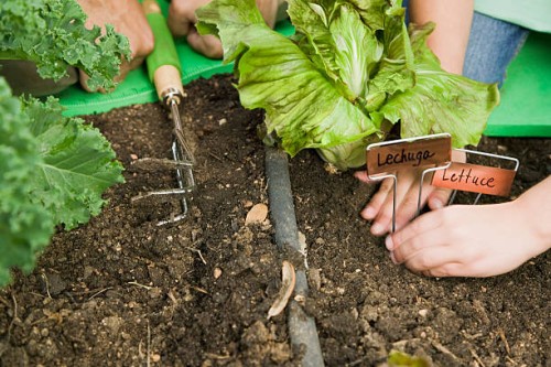 father and daughter gardening - garden decoration stock pictures, royalty-free photos & images