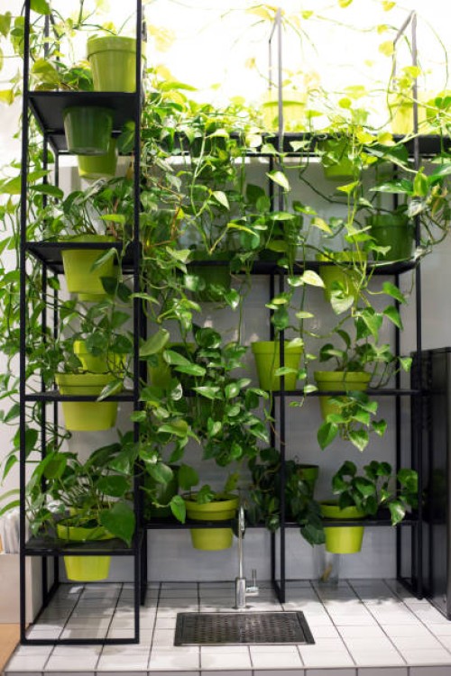 faucet with water surrounded by green potted flowers. eco friendly concept. living water. plants in the interior. - garden decoration stock pictures, royalty-free photos & images