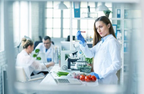 female biologist analyzing tomatoes in laboratory - food stock pictures, royalty-free photos & images