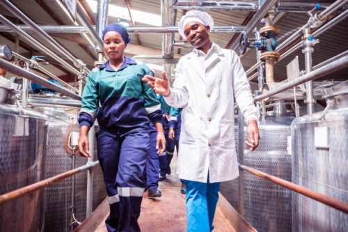 female factory worker walking with her supervisor at a factory - food stock pictures, royalty-free photos & images