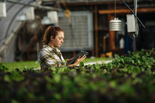 female farm worker using digital tablet in greenhouse - food stock pictures, royalty-free photos & images