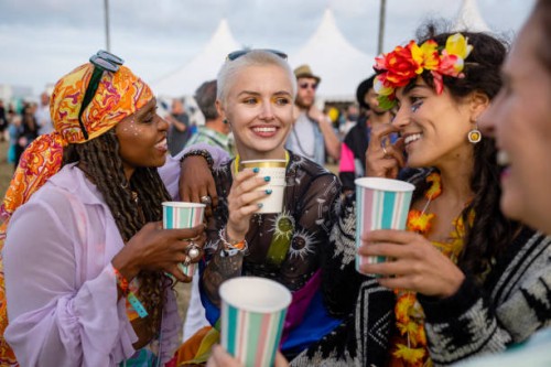 female friends at a festival - concert stock pictures, royalty-free photos & images