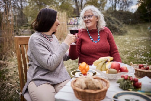 female friends clinking wine glasses at garden table - garden decoration photos et images de collection