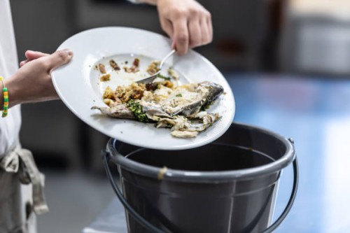 female hands throwing leftover food into a trash can. - food stock pictures, royalty-free photos & images
