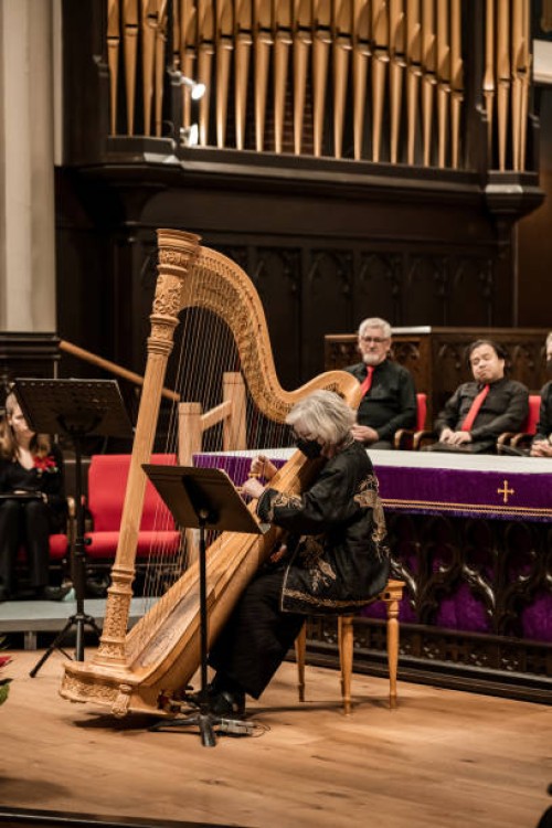 female harpist playing with church choir at concert - concert stock pictures, royalty-free photos & images