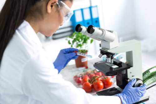 female microbiologist using microscope in laboratoty - food stock pictures, royalty-free photos & images