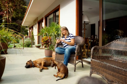 femme utilisant le téléphone portable à la maison s’asseyant dehors près de ses chiens - garden decoration photos et images de collection