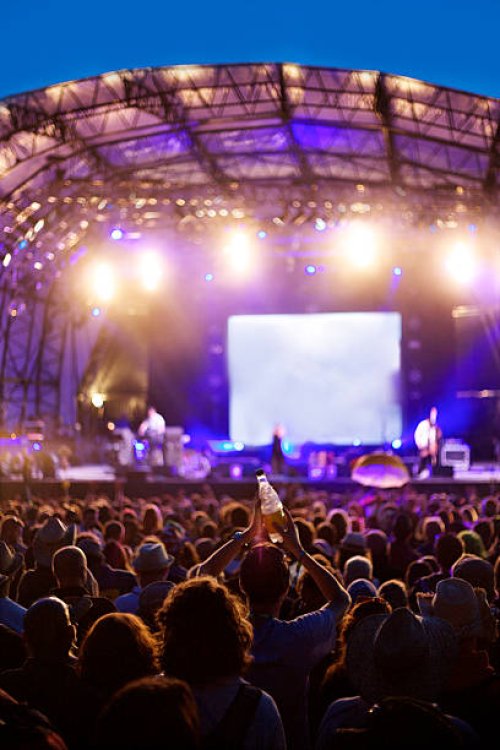 festival crowd in front of stage - concert stock pictures, royalty-free photos & images