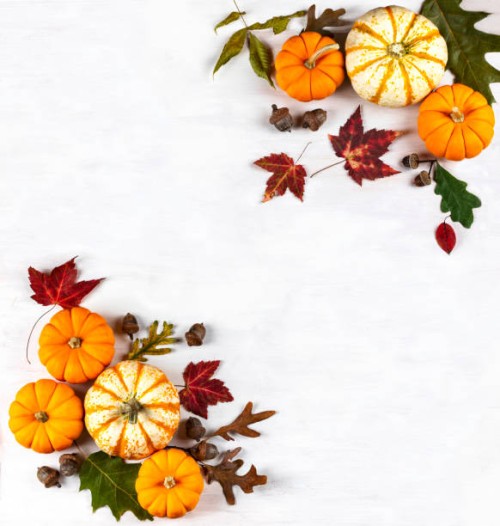 festive autumn decor with pumpkins and leaves on white wooden background. - garden decoration stock pictures, royalty-free photos & images