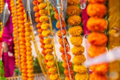 festive decorations. - home decoration stock pictures, royalty-free photos & images