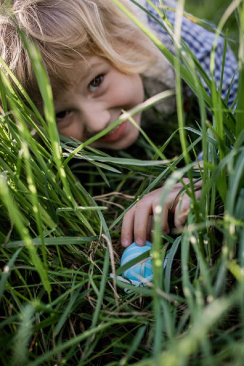 finding an easter egg - garden decoration stockfoto's en -beelden